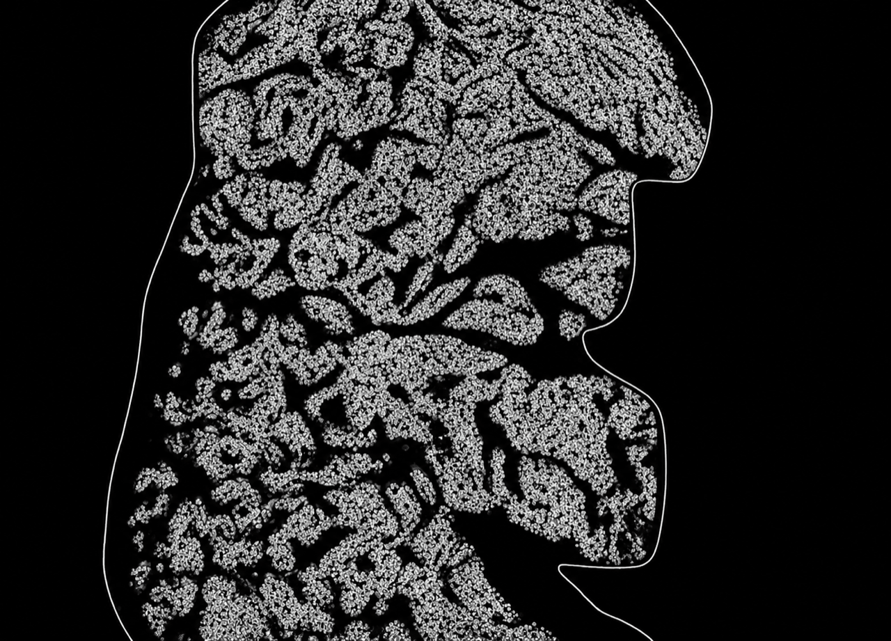 Digital mask generation